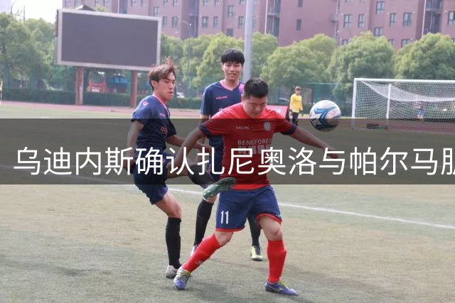 乌迪内斯确认扎尼奥洛与帕尔马肌肉受伤，预计休战一个月